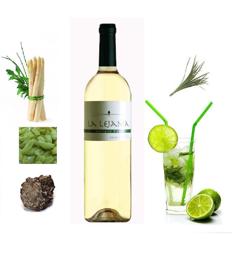 LA LEJANIA sauvignon blanc