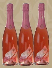 6月10日Rosé tasting 桃红葡萄酒品鉴会