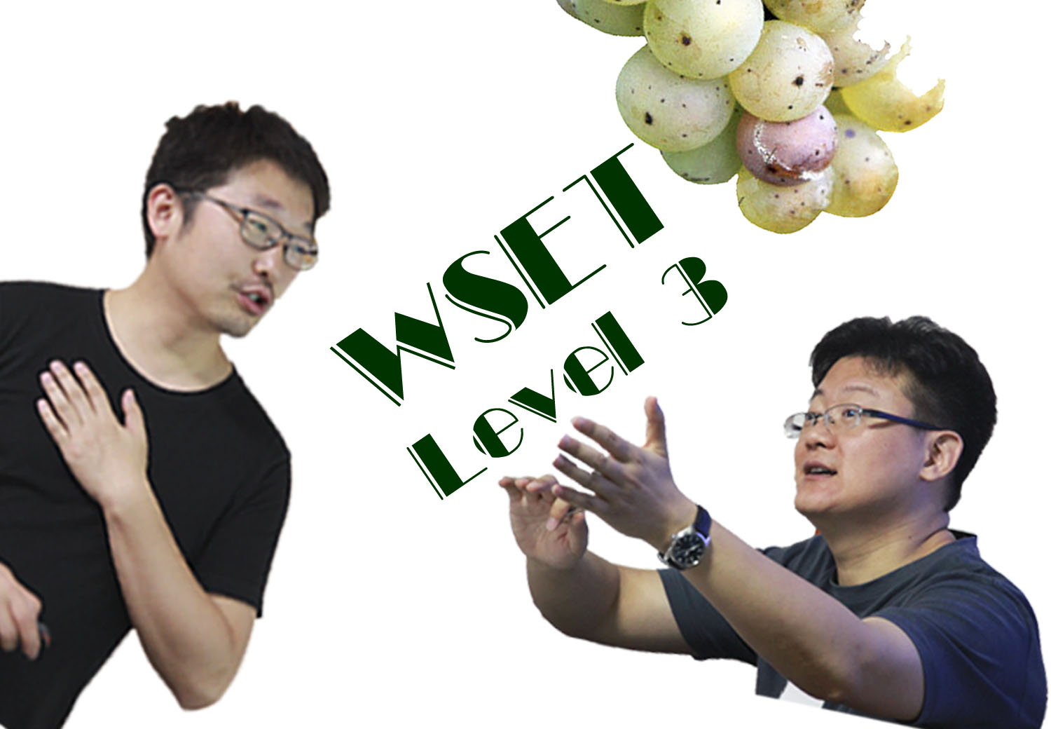 埃韦-上海【2014年12月】WSET Level 3开课啦！！