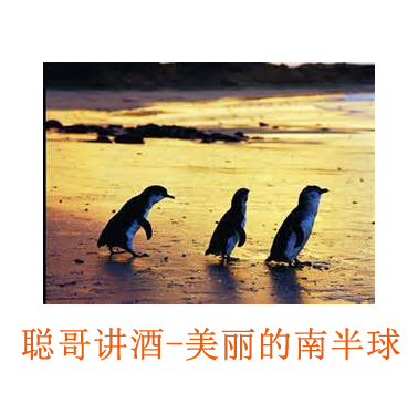 美食记聪哥讲酒活动--美丽的南半球（10月18日星期日下午5点）