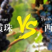 臻酒汇邀您10月15号周四微醺--赤霞珠VS.西拉