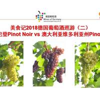 美食记2018德国葡萄酒巡游（二）  德国巴登Pinot Noir vs 澳大利亚维州Pinot Noir