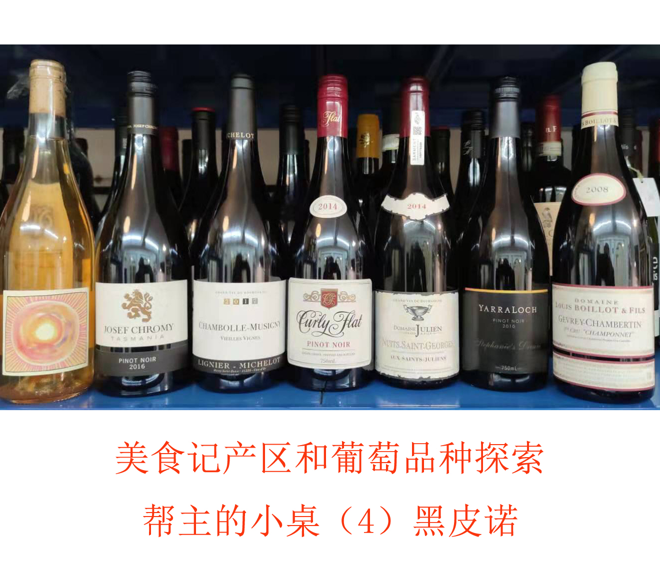 美食记产区和葡萄品种探索--帮主的小桌（4）Pinot Noir 黑皮诺