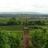 youlanda